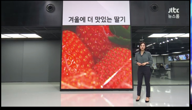 이미지를 불러오는데 실패했습니다.