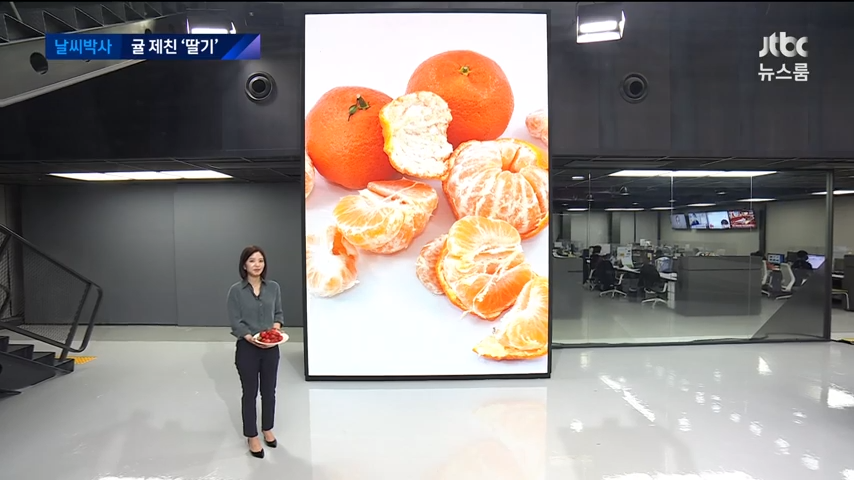 이미지를 불러오는데 실패했습니다.