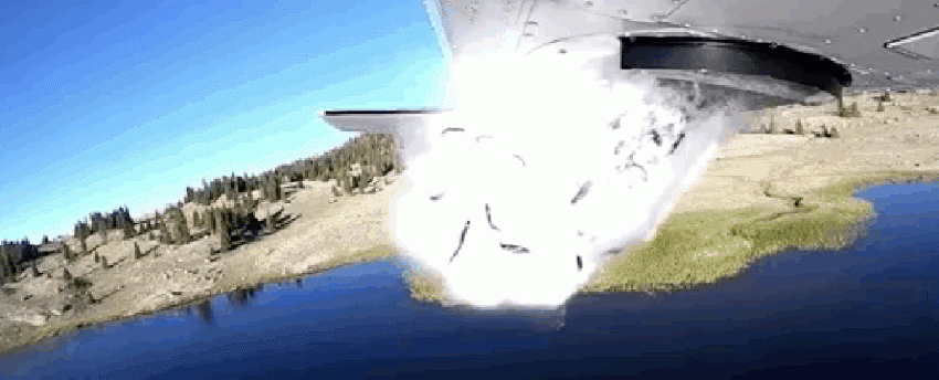1711af01c464d69ee.gif