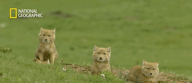 Aug-11-2021 22-01-12.gif