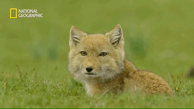 Aug-11-2021 21-59-32.gif