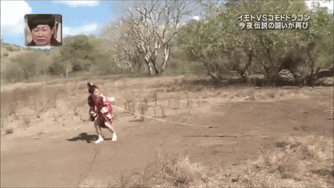 2.gif