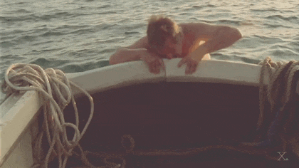 상어가 위험.gif