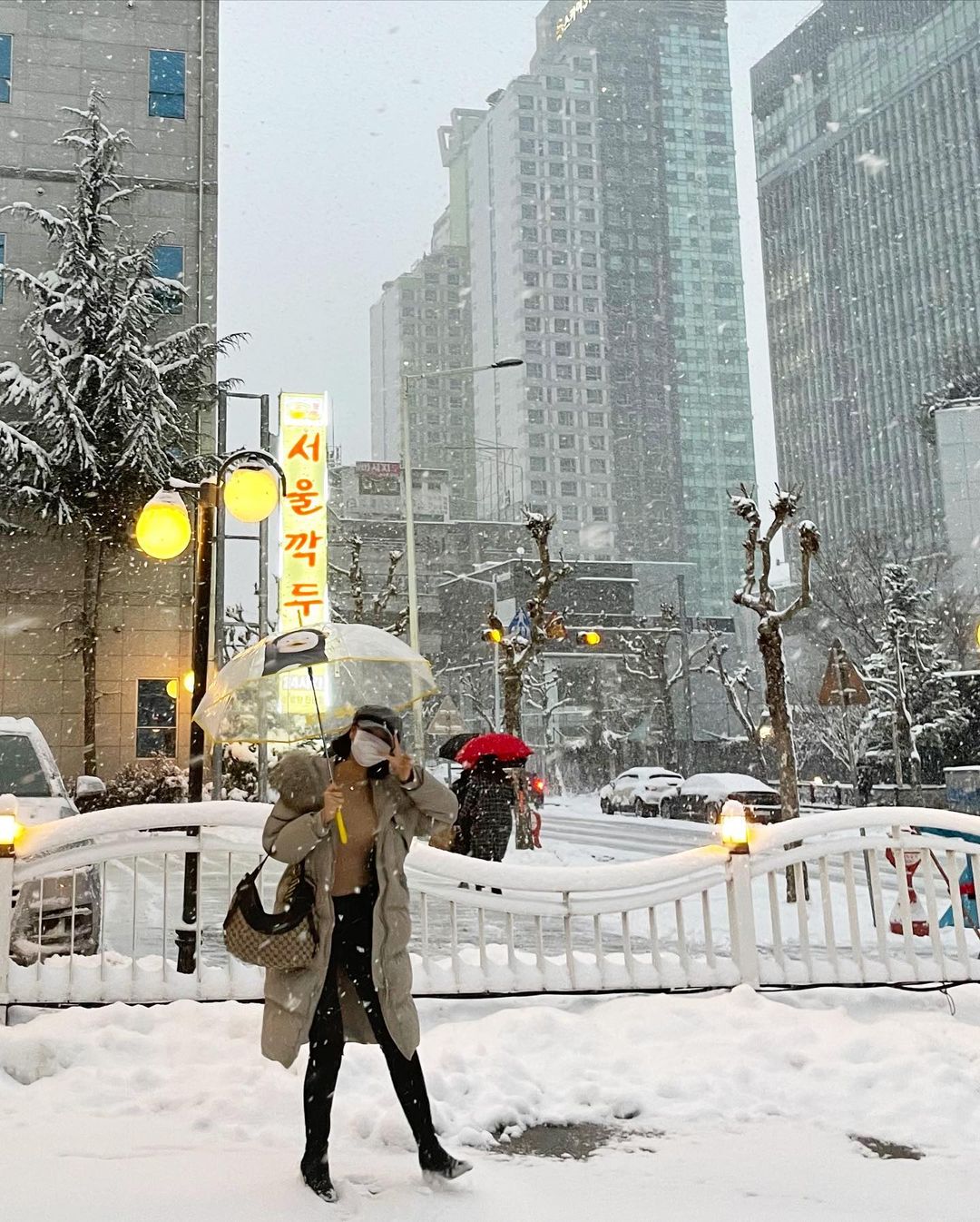 이미지를 불러오는데 실패했습니다.