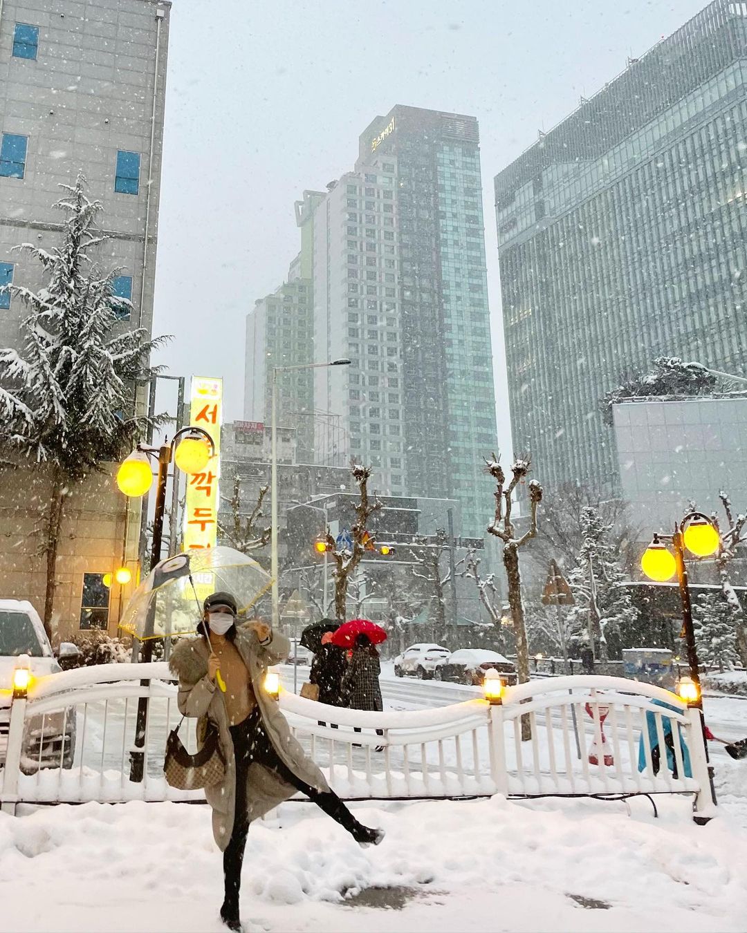 이미지를 불러오는데 실패했습니다.
