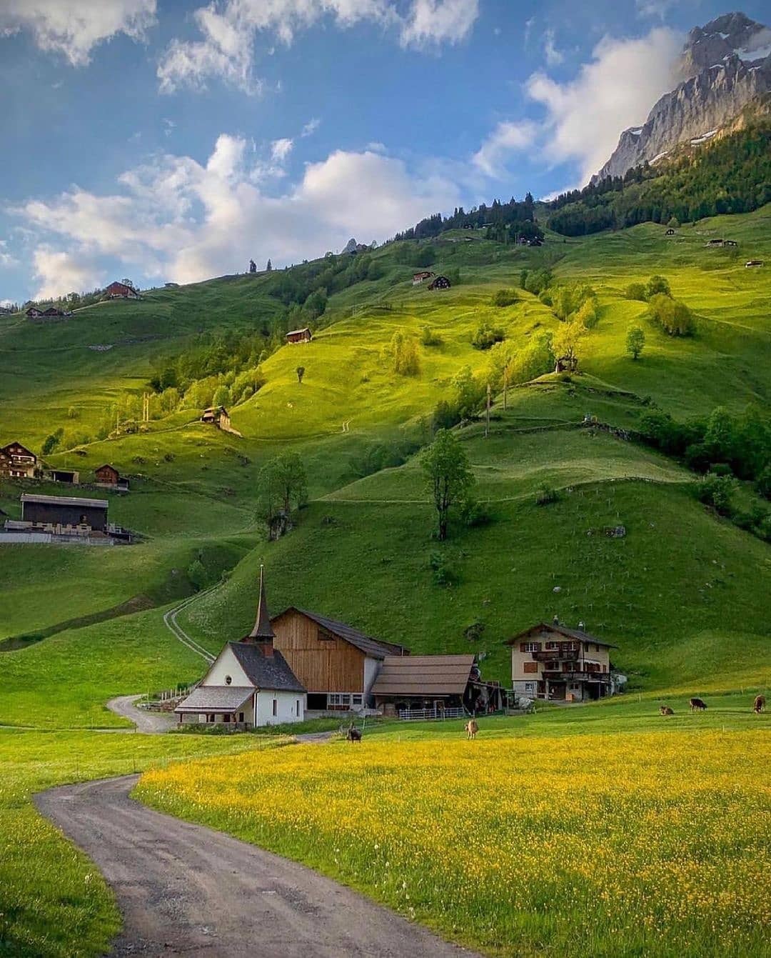 switzerland_magnificent_20210716_173602_3.jpg