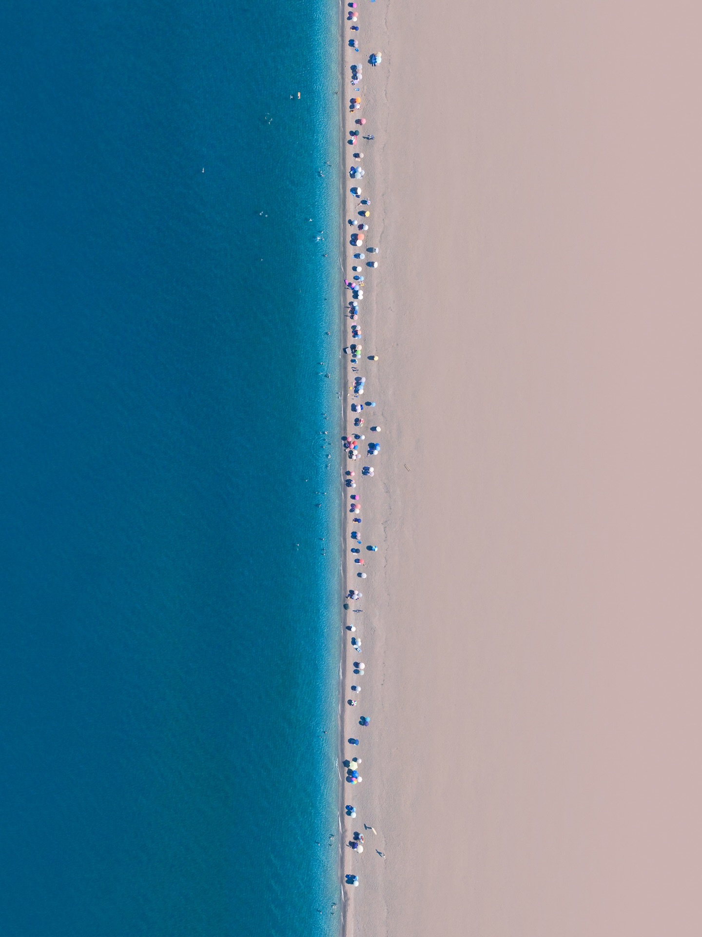 spathumpa_1750712669_3661565718511513271_4466110.jpg