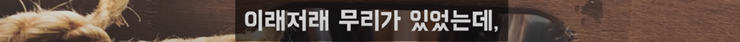 37.png