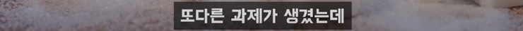 31.png