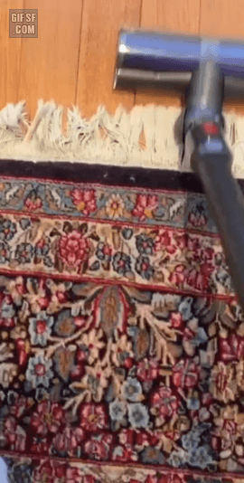 gifsf.com_0012 (1).gif
