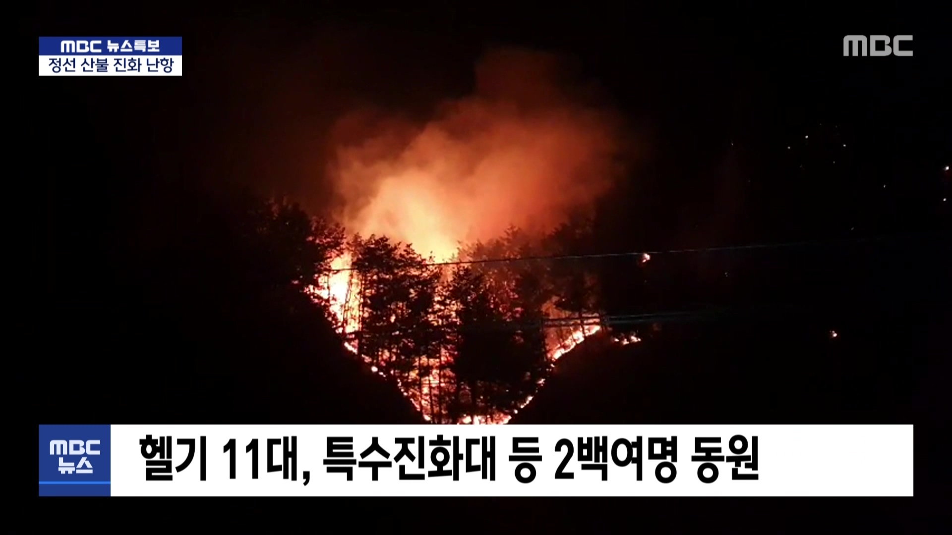 이미지를 불러오는데 실패했습니다.