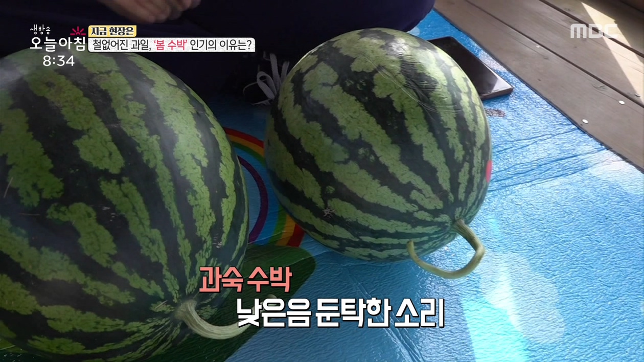 이미지를 불러오는데 실패했습니다.