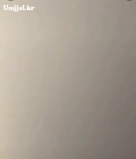 무궁화꽃이피었습니다.gif