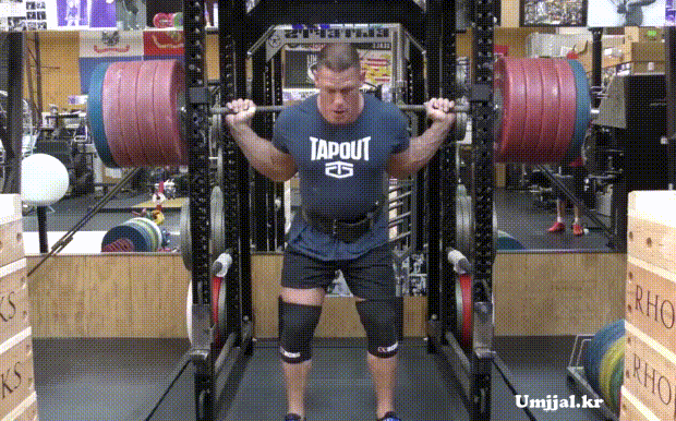 1.gif
