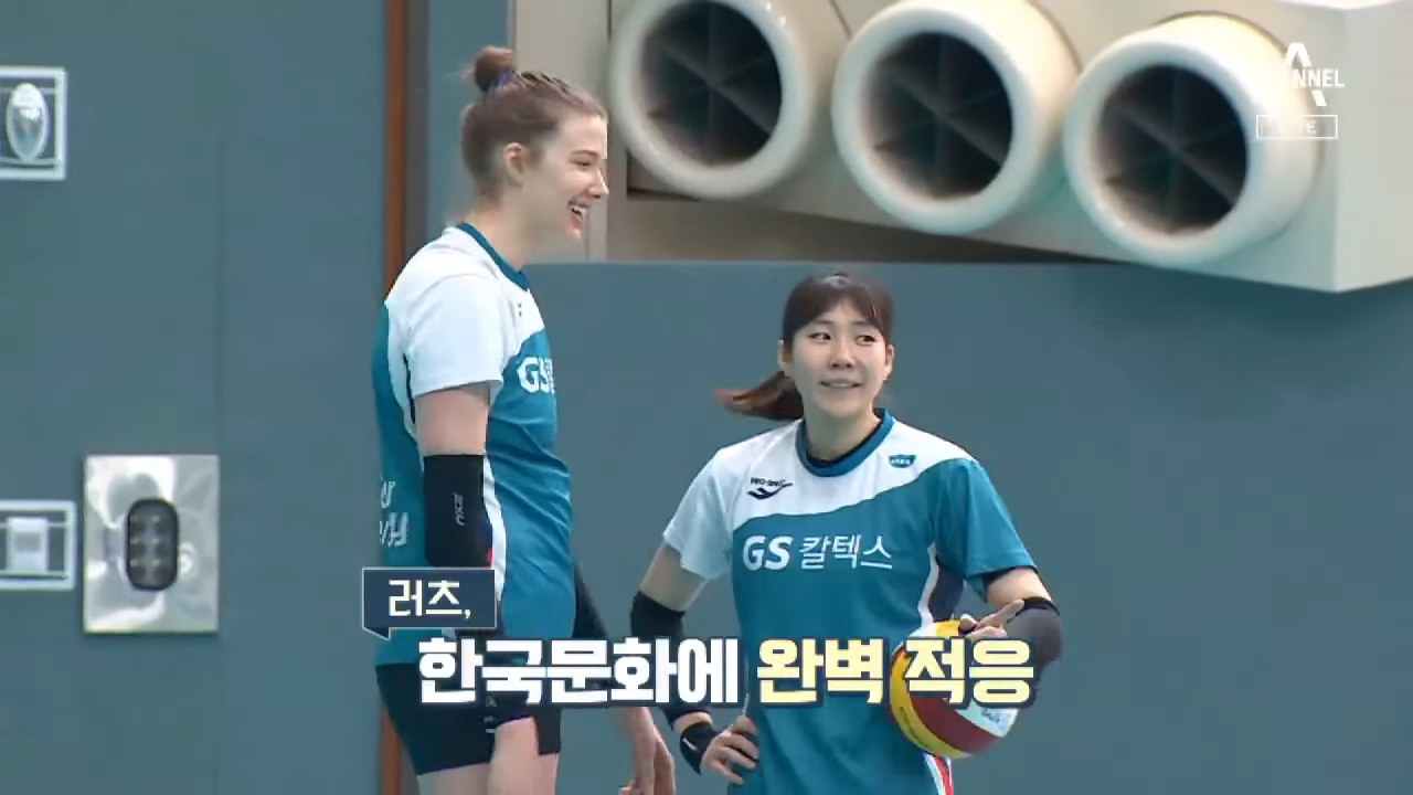 이미지를 불러오는데 실패했습니다.