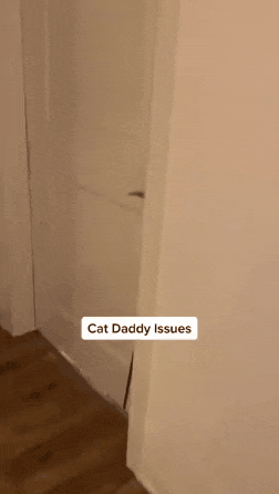 이미지를 불러오는데 실패했습니다.