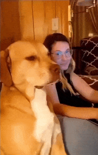 ezgif.com-gif-maker - 2021-06-02T235249.874.gif