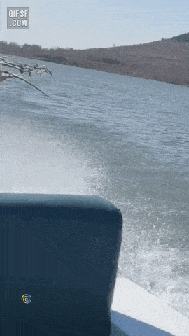 i015490889338.gif