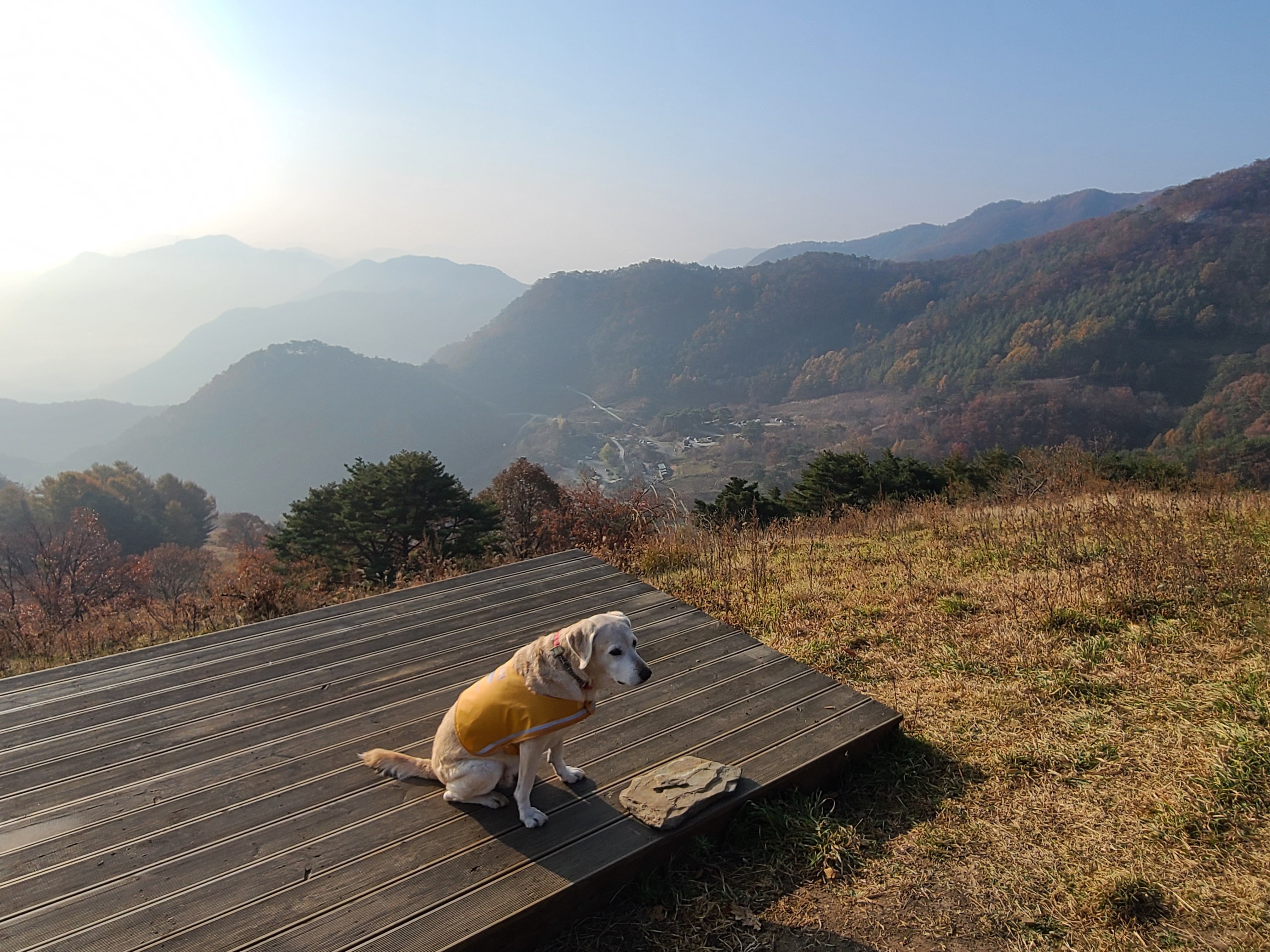 KakaoTalk_20211106_202548344_01.jpg