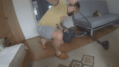 giphy.gif