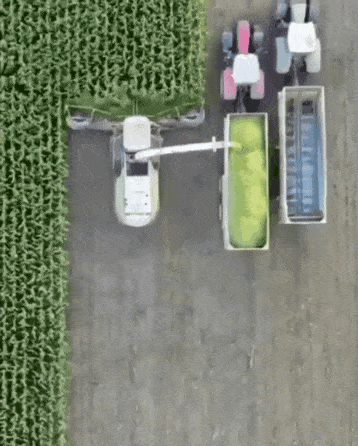 20210126150003_onoemdsi.gif