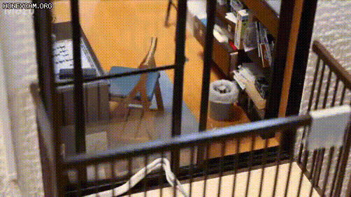 pic_009.gif