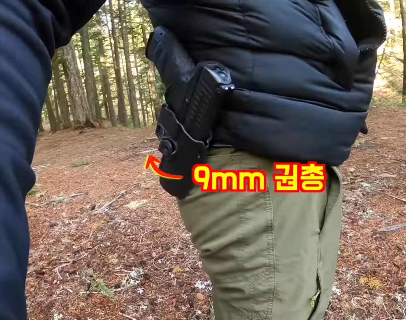 q2.jpg