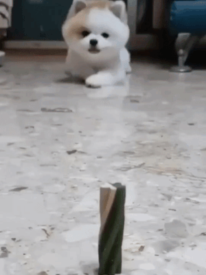 1760fbd2bf051e670.gif