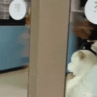 이미지를 불러오는데 실패했습니다.