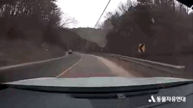 20210325161925891zfgm.gif