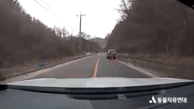 20210325161928910ofzb.gif