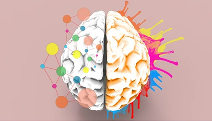 좌뇌.jpg