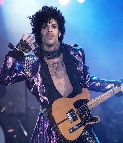 6_prince-purple.jpg