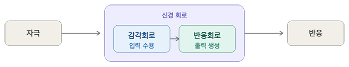 신경회로.png