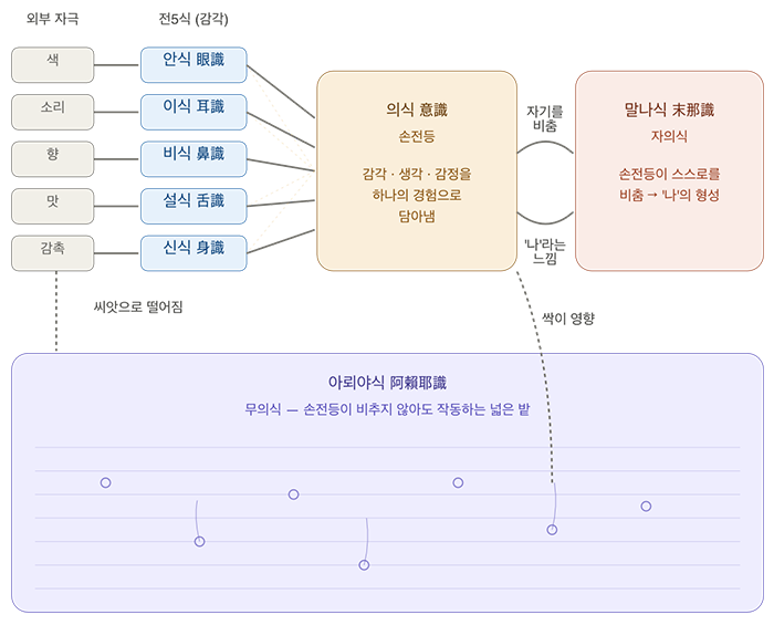 전5식 (감각).png