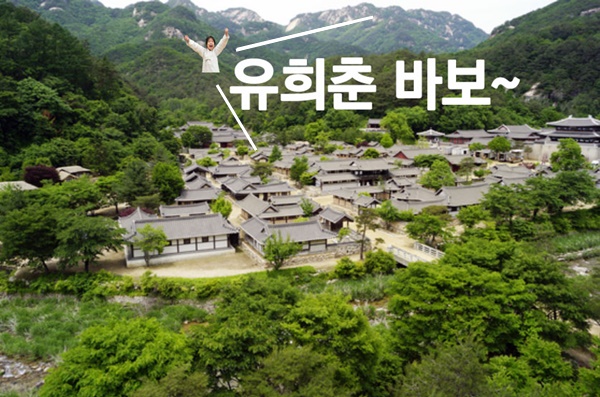 유희춘 바보.jpg