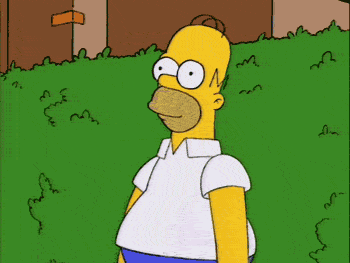 my-reaction-when-I-get-into-an-argument-with-women-homer-simpson-hide-in-bush-disappears.gif