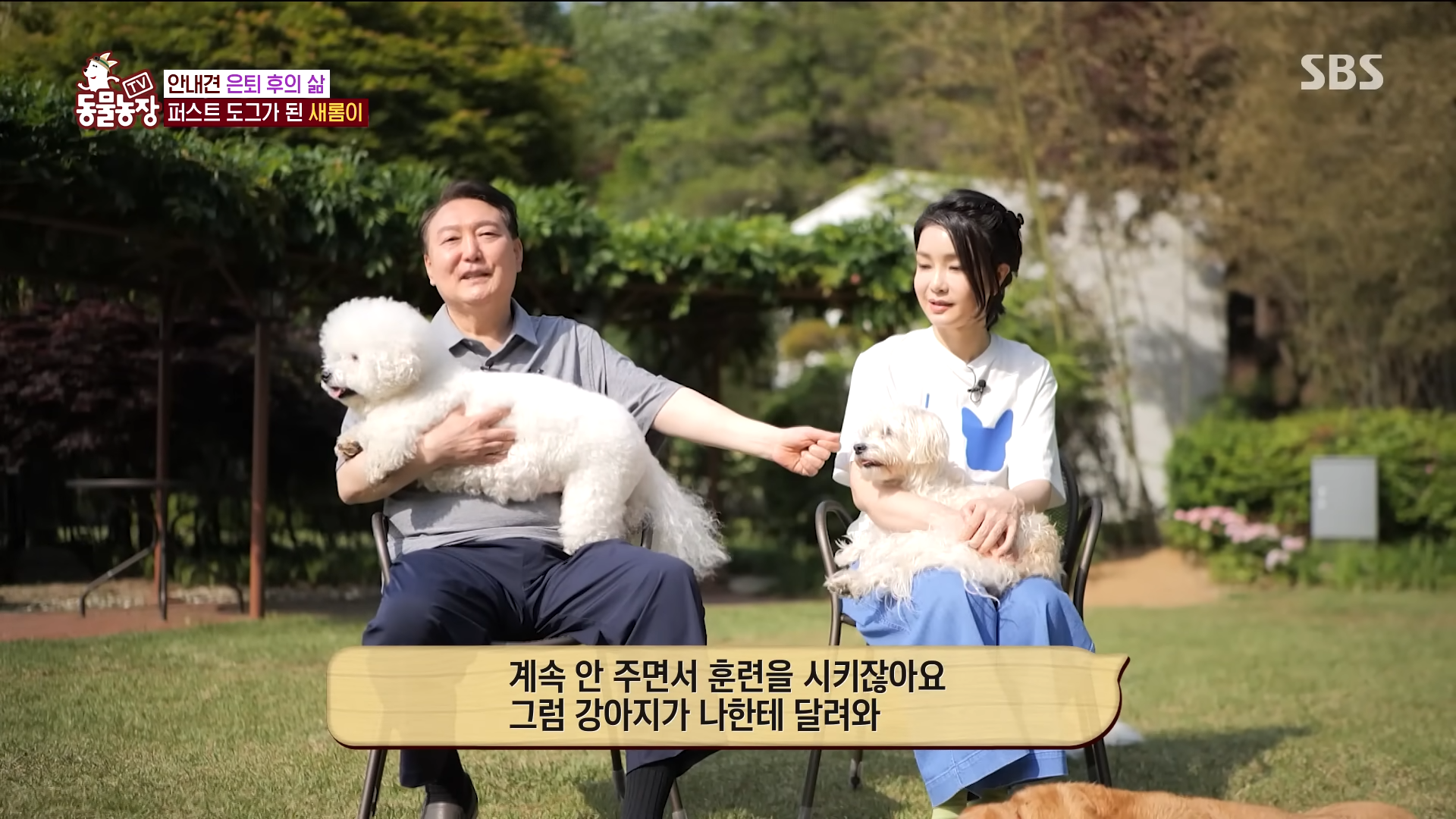 [TV동물농장] 나는 행복한 안내견입니다. 20-59 screenshot.png