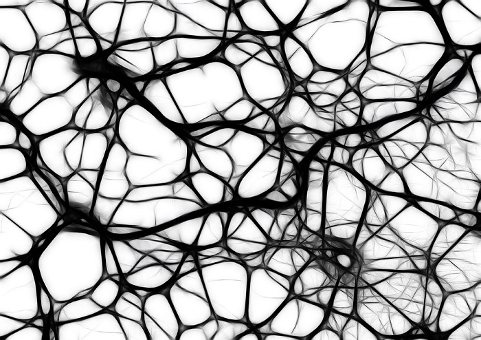 neurons-440660_960_720.jpg