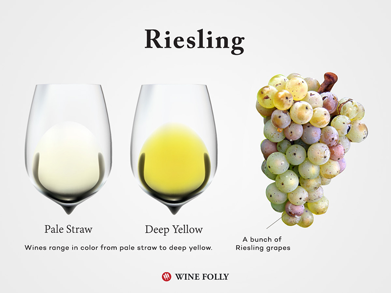 Riesling-Wine-Grapes-Glass-Wine-Folly.jpg
