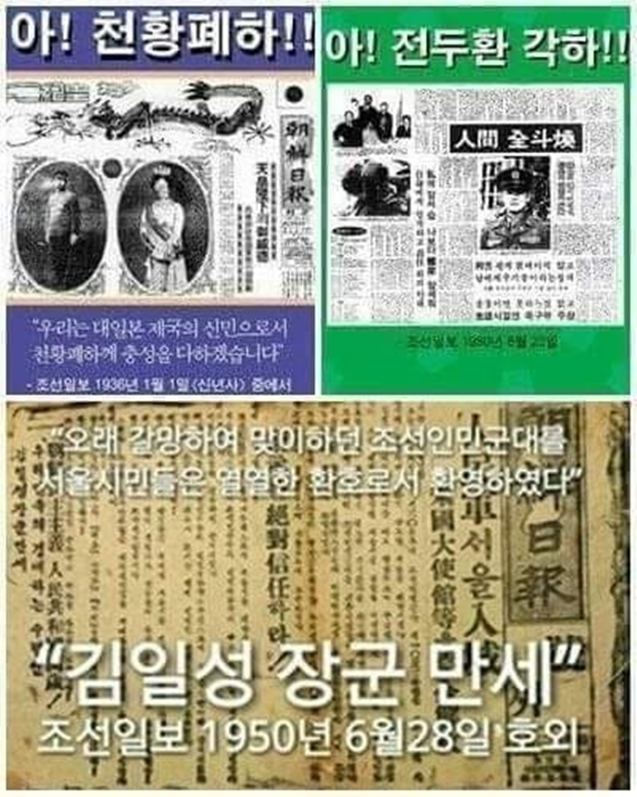 조선일보 기사.jpg