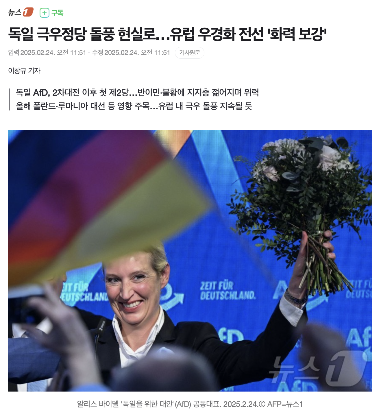 독일 극우정당 돌풍.png