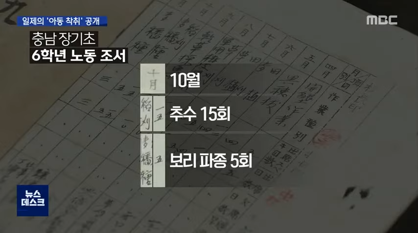 공부 대신 매일 '낫질' 어린이도 강제 노역 시킨 일제 (2020.08.13_뉴스데스크_MBC) 0-54 screenshot.png