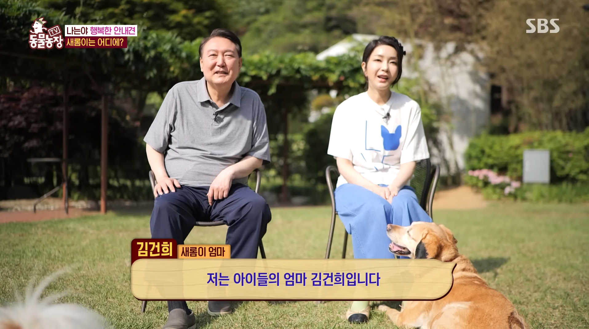 [TV동물농장] 나는 행복한 안내견입니다. 19-35 screenshot.png