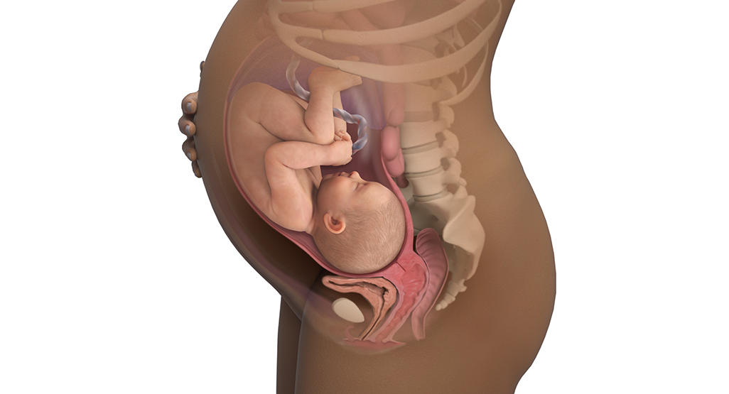 38-weeks-pregnant_wide.jpg