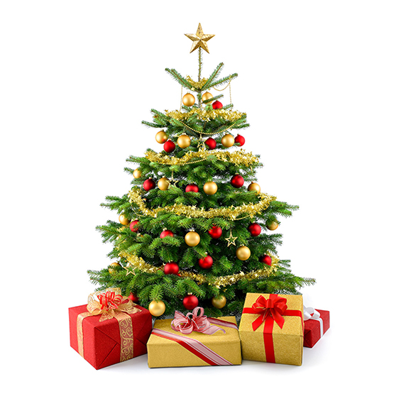 Holidays_Christmas_508245.jpg