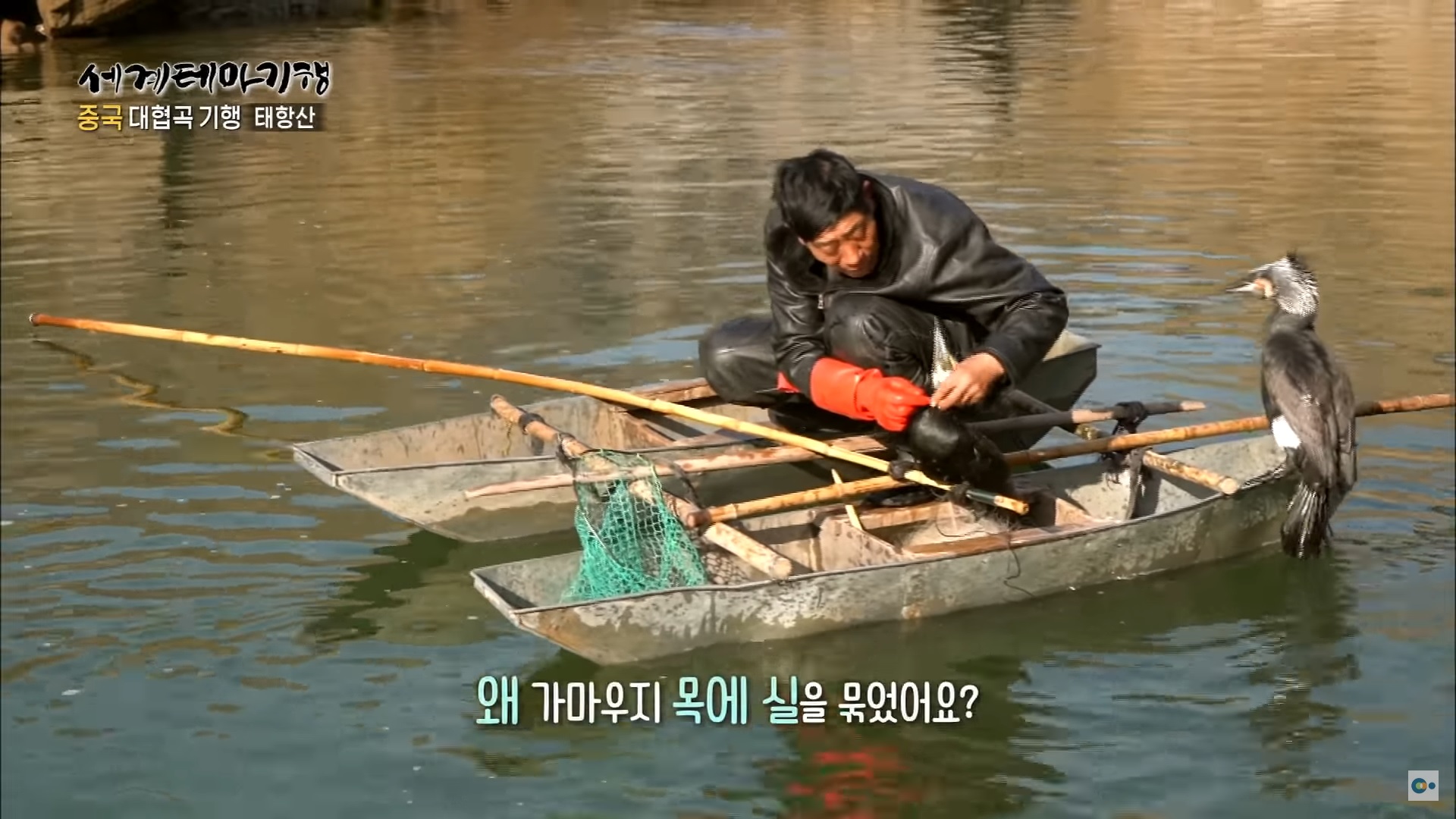 가마우지 낚시.jpg