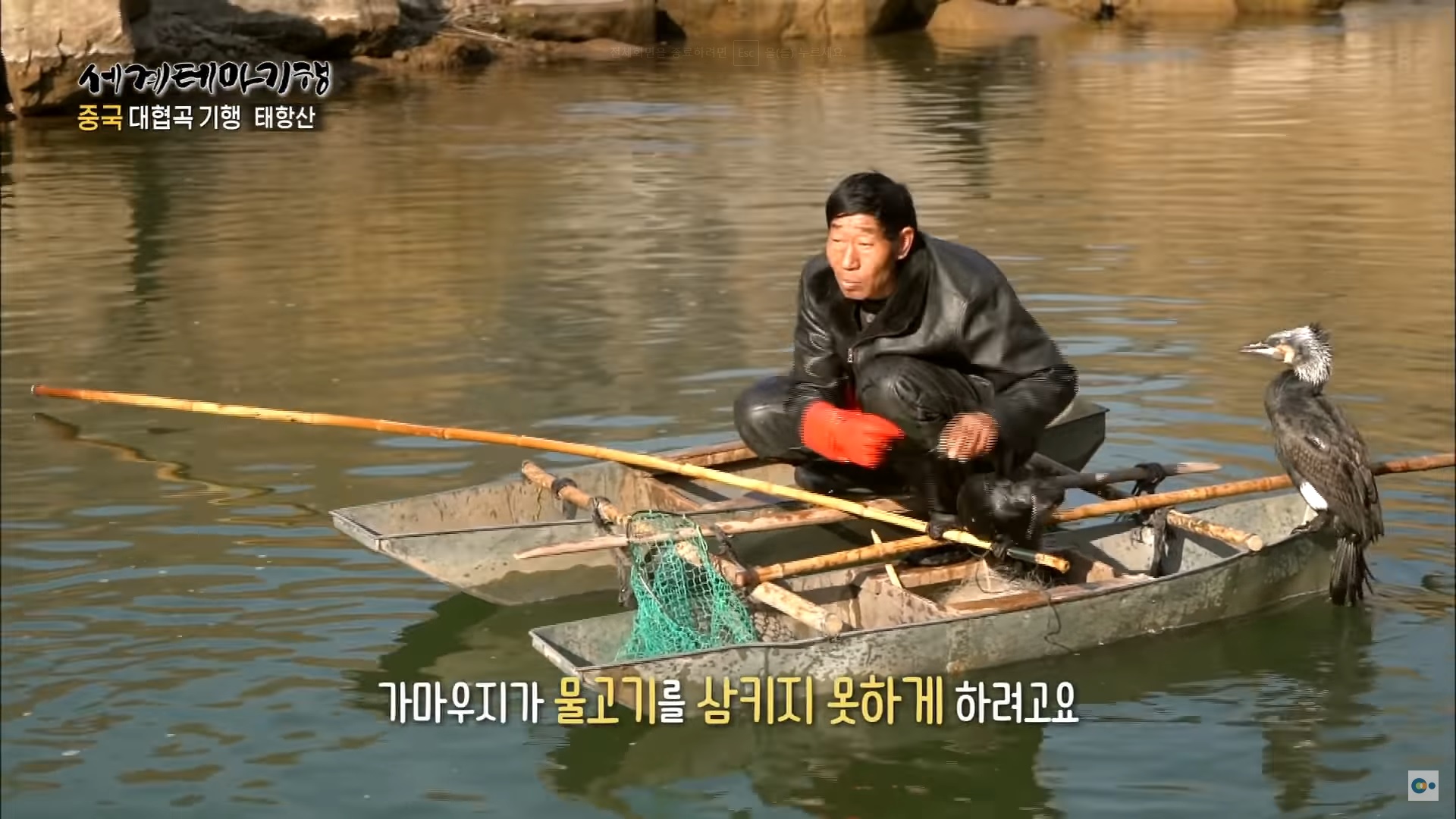 가마우지 낚시2.jpg