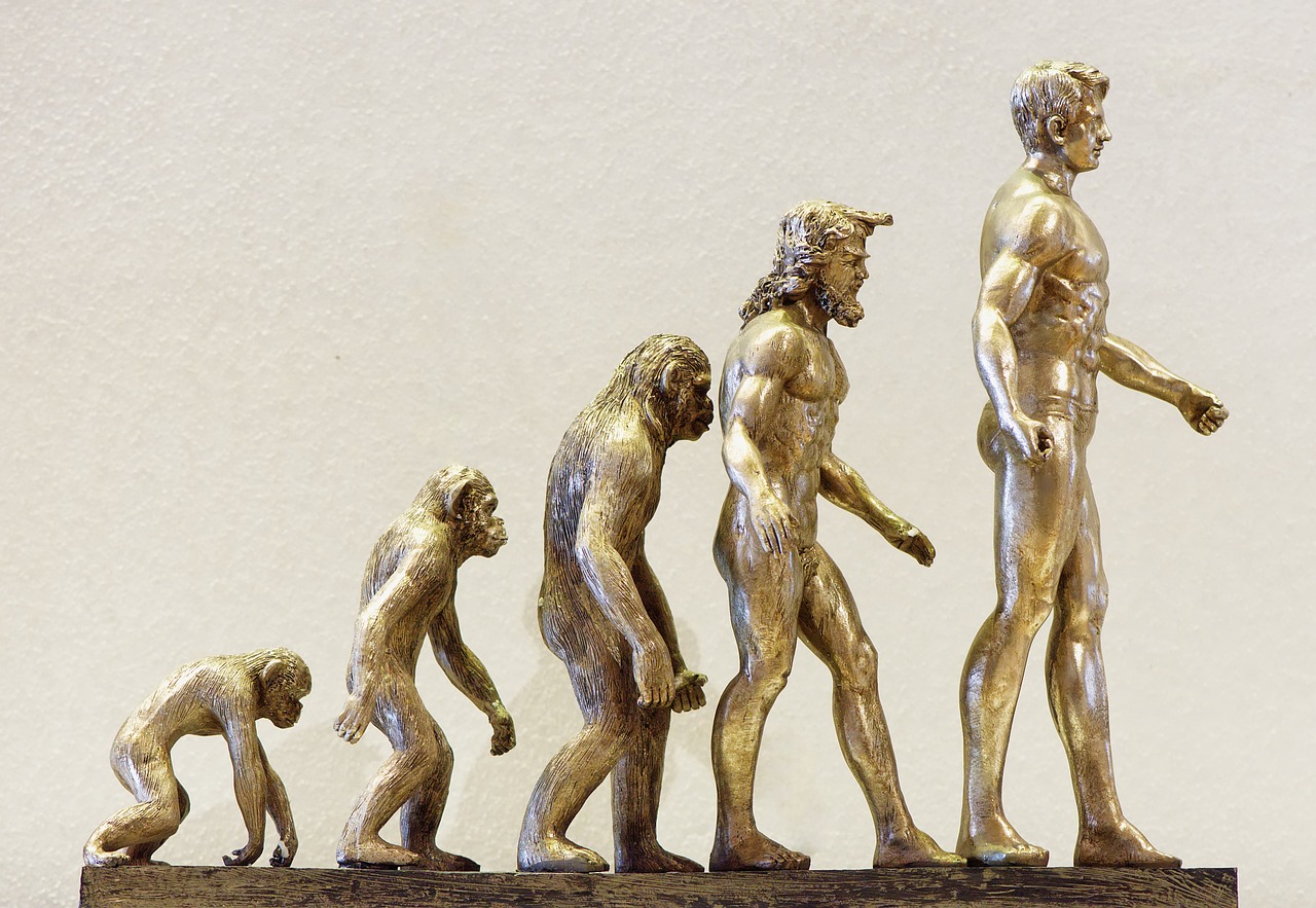evolution.jpg