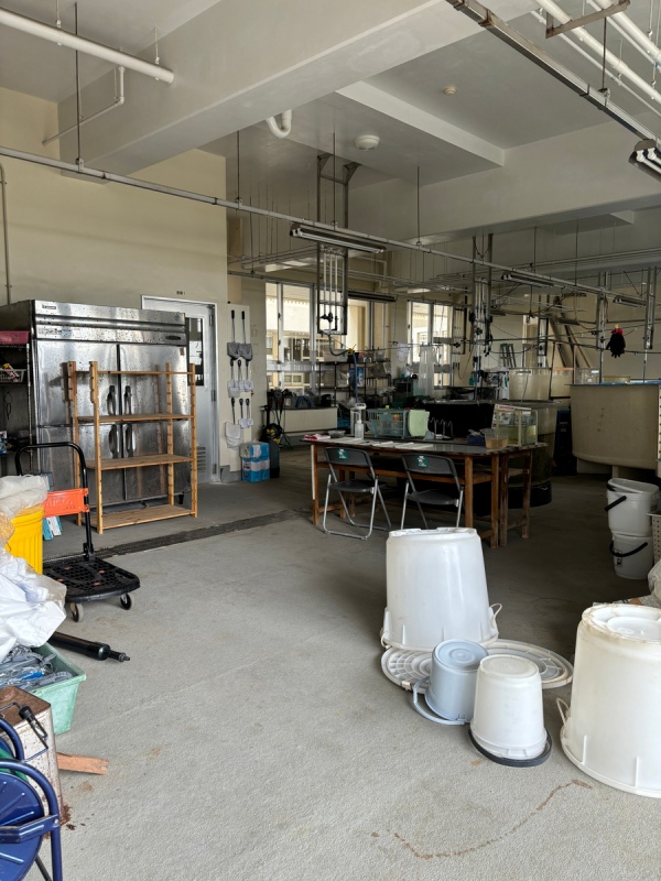 30-okinawa_fisherie_highschool.jpg